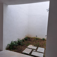 jardin interior 1