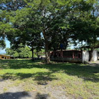 WhatsApp Image 2025-10-10 at 12.08.07