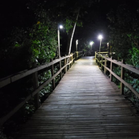 WhatsApp Image 2025-10-11 at 6.28.15 PM