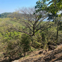 WhatsApp Image 2026-02-16 at 10.08.32 AM (1)