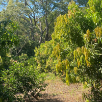 WhatsApp Image 2026-02-16 at 10.08.33 AM (1)