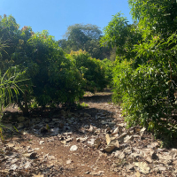 WhatsApp Image 2026-02-16 at 10.08.33 AM (2)