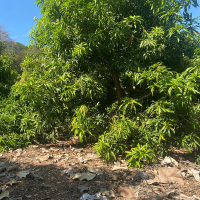 WhatsApp Image 2026-02-16 at 10.08.33 AM (3)