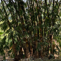 WhatsApp Image 2026-02-16 at 10.08.34 AM (1)