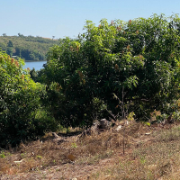 WhatsApp Image 2026-02-16 at 10.08.34 AM (3)