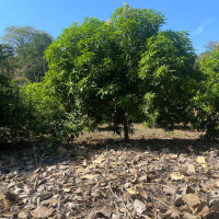 WhatsApp Image 2026-02-16 at 10.08.34 AM