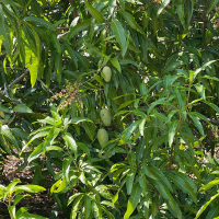 WhatsApp Image 2026-02-16 at 10.08.35 AM (1)