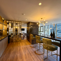 DB6A92F9-5B98-478F-97C3-6654D9622513_1_201_a