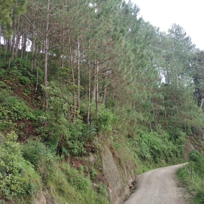 Finca apta para ganado, agricultura o turismo