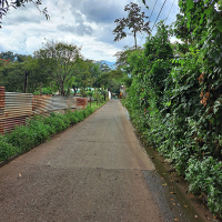 calle pavimentada 2