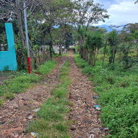 calle rustica