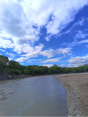 Helen Álvarez  - avatar